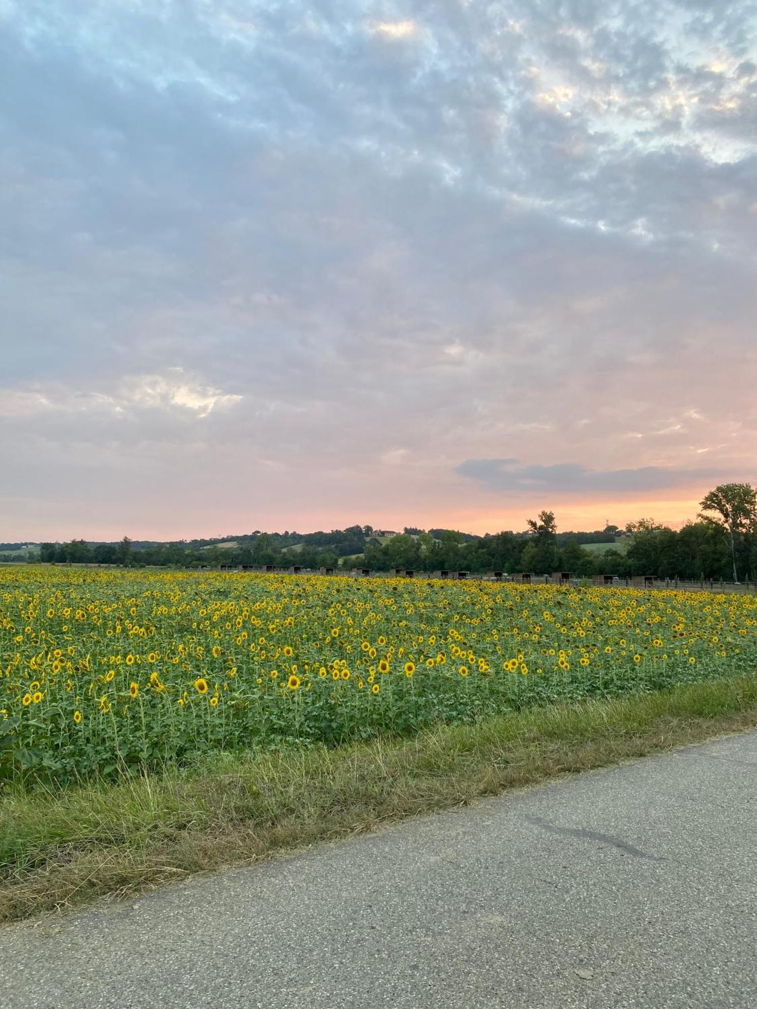 Dependance Privee A La Campagne Avec Spa Saint-Cirice المظهر الخارجي الصورة